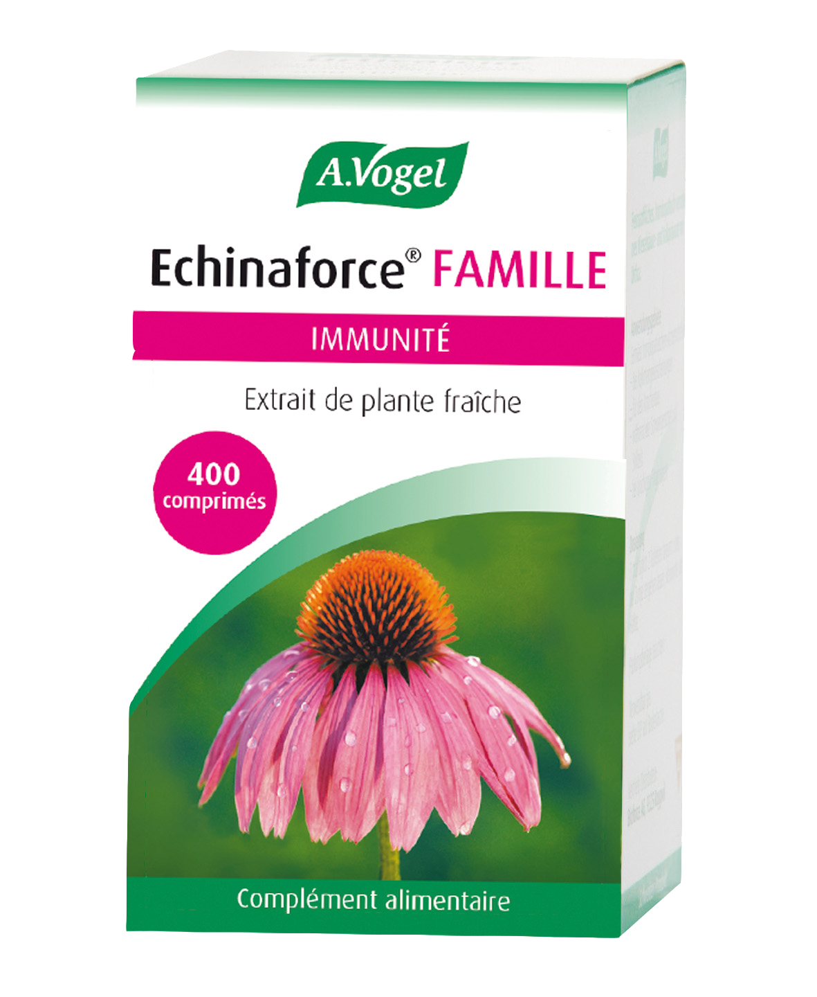 A VOGEL ECHINAFORCER FAMILLE