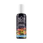 AROMA SPRAY AROMASPRAY GIROFLE CAMPHRE 100 ML
