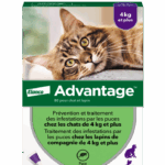 BAYER ADVANTAGE 80 SPOT ON CHATS ET LAPINS 4KG ET 4 PIPETTES