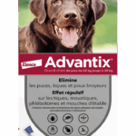 BAYER ADVANTIX ANTIPARASITAIRE EXTERNE GRAND CHIEN 4 PIPETTES