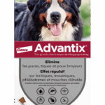 BAYER ADVANTIX GRAND CHIEN 40 A 60 KG 4 PIPETTES