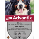 BAYER ADVANTIX GRAND CHIEN 40 A 60 KG 6 PIPETTES