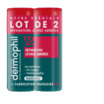 DERMOPHIL INDIEN STICK A LEVRES REPARATION 2X4G