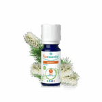 DOCTEUR VALNET HUILE ESSENTIELLE NIAOULI BIO 10ML