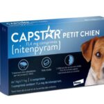 ELANCO CAPSTAR TRAITEMENT ANTI PUCES POUR PETIT CHIEN 11 4MG 6 COMPRIMES