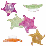 ESTIPHARM BROSSE A ONGLES RONDE ETOILE 1 UNITE