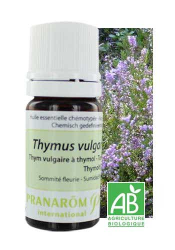 HE HUILE ESSENTIELLE THYM VULGAIRE A THYMOL BIO 5ML