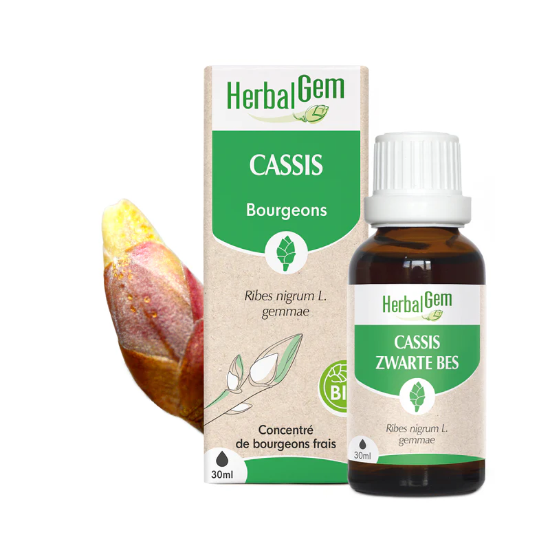 HERBALGEM CASSIS BIO 30ML