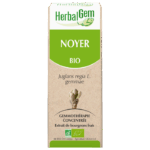 HERBALGEM NOYER BIO MACERAT CONCENTRE DE BOURGEONS 30 ML