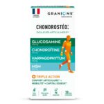 LABORATOIRE DES GRANIONS CHONDROSTEO 1 MOIS 90 COMPRIMES
