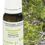 PRANAROM HE HUILE ESSENTIELLE MANDRAVASAROTRA 10 ML
