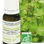 PRANAROM HE HUILE ESSENTIELLE MENTHE DES CHAMPS BIO 10 ML