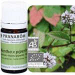 PRANAROM HE HUILE ESSENTIELLE MENTHE POIVREE BIO 5 ML