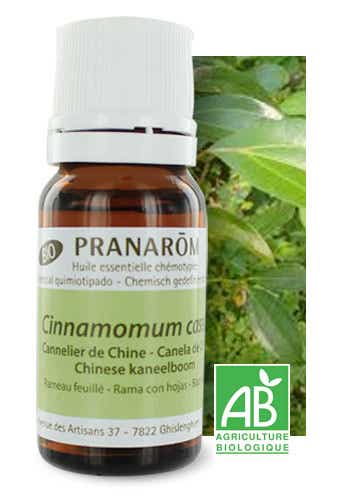 PRANAROM HUILE ESSENTIELLE CANNELIER DE CHINE BIO 10ML