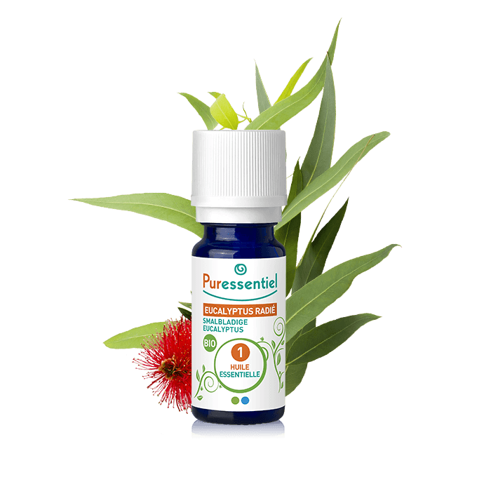 PURESSENTIEL HUILE ESSENTIELLE EUCALYPTUS RADIE BIO 10 ML