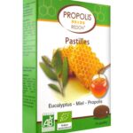 REDON PASTILLES A SUCER MIEL EUCALYPTUS 24 PASTILLES