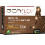 SANTE VERTE GCAFLEX FONCTIONNEMENT DU CARTILAGE 30 GELULES