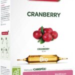 SUPERDIET CRANBERRY BIO 20 AMPOULES DE 15 ML