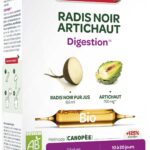 SUPERDIET RADIS NOIR ARTICHAUT BIO 20 AMPOULES DE 15 ML
