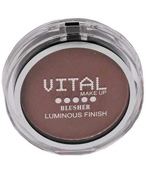 BLUSHER FINITION LUMINEUX 06 ROUGE BRIQUE 