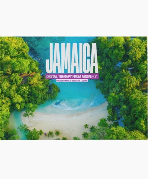 JAMAICA THÉRAPIE NUMÉRIQUE D'EN HAUT VOL 1 LIVRE 